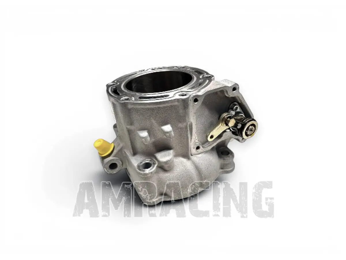 CILINDRO 2T 300 INIEZIONE ELETTRONICA, COMPLETO MY 24 CON ALLOGGIAMENTO SENSORE
